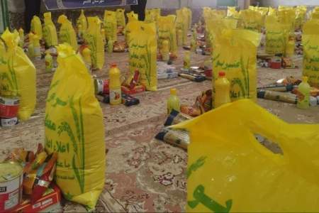 کمیته امداد ششتمد ۵۲ سبد غذایی بین سالمندان زمین‌گیر توزیع کرد