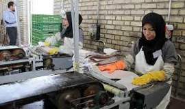  طرح های خود کفایی کمیته امداد در توانمندسازی محرومین